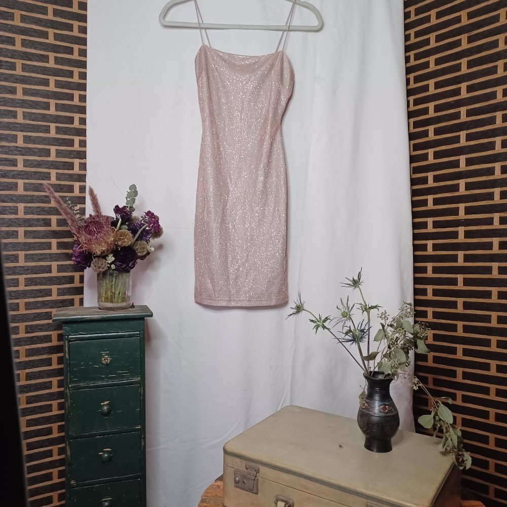 Windsor Glittering Nude/ Light Pink Mini Party Dress - Size small